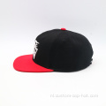 6 panelen snapback hoed en pet